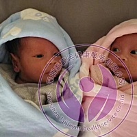 老板大舅子家怀不上做试管婴儿，喜得龙凤胎，我要再怀不上也去做试管好了😂😂😂一胎解决所有问题...