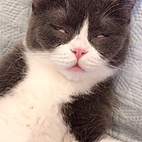 十三周了，人家都是孕吐已经好了，我反而严重了呢，一坐车就不行，吃啥吐啥，还没有胃口，好难受～