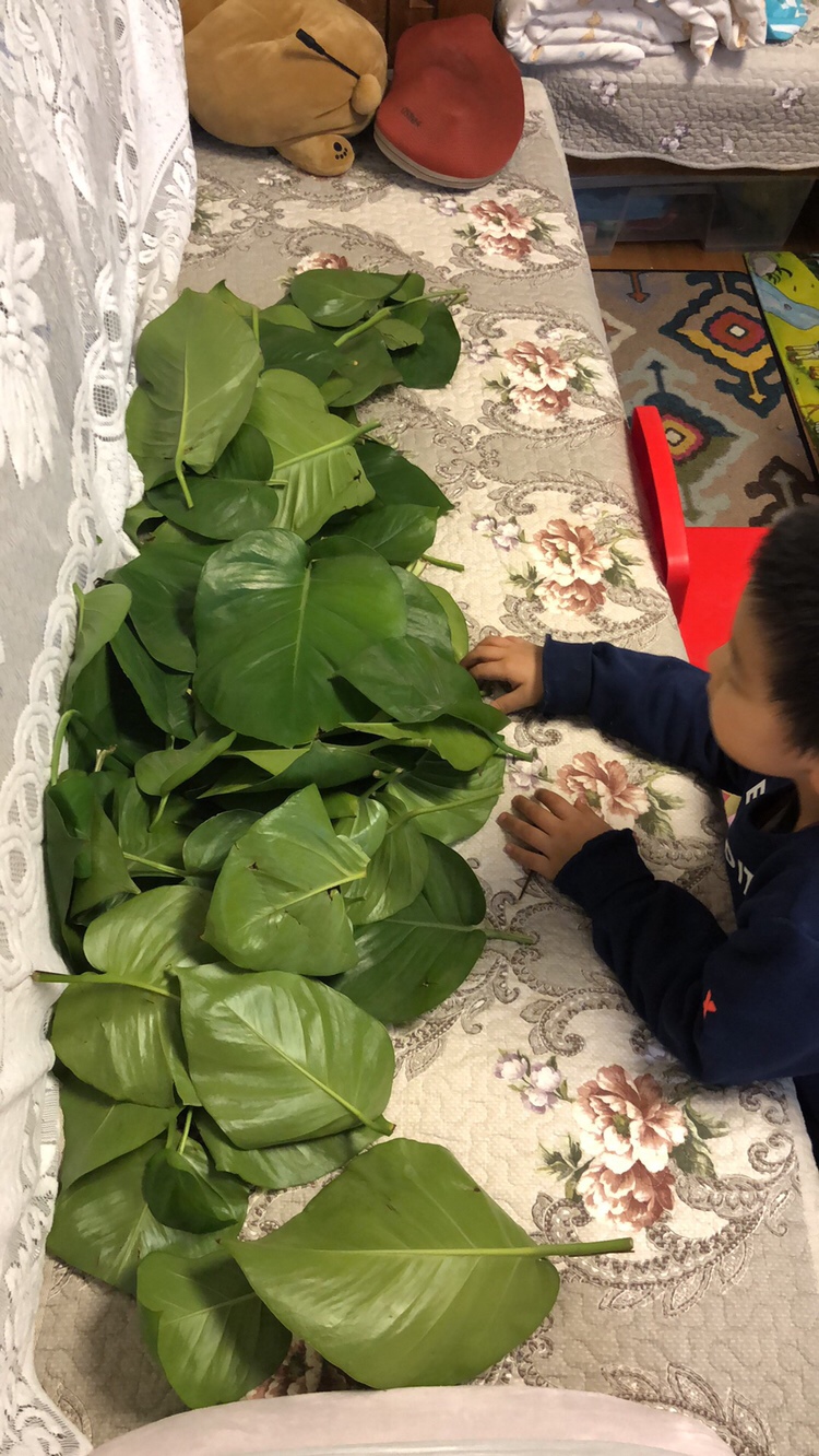 跟爸爸显摆自己的收获后，被批评