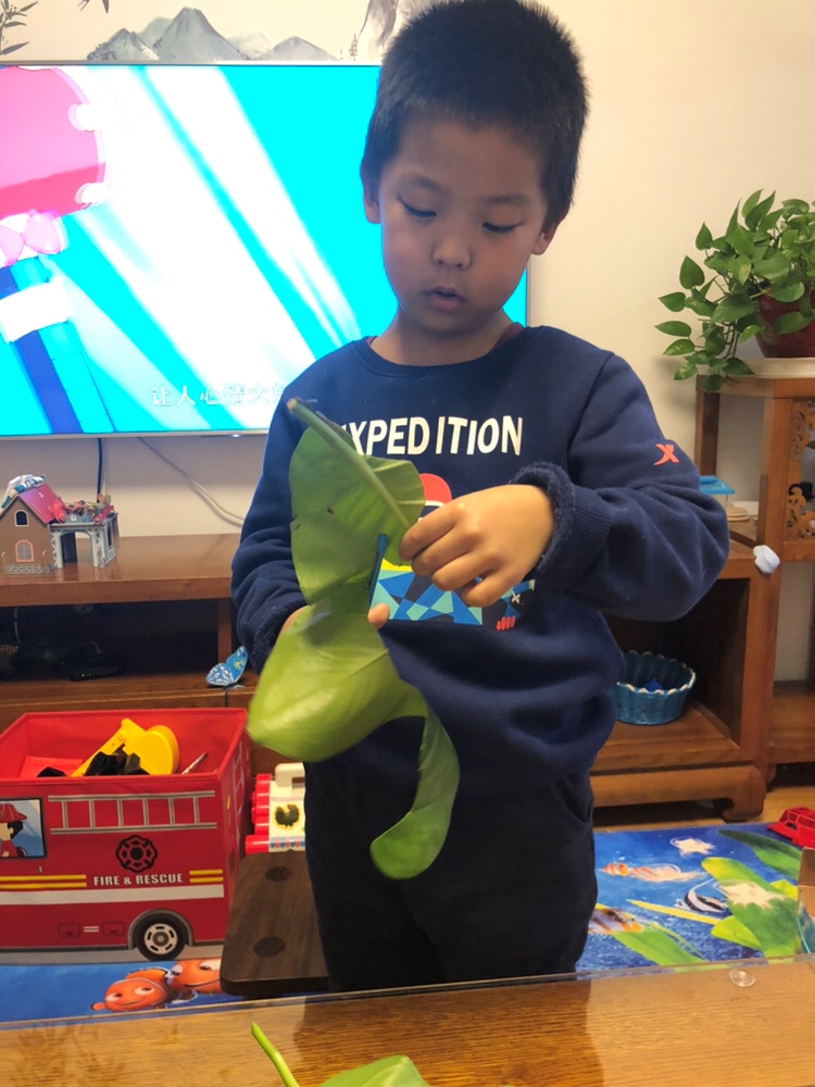 自己尝试剪蝴蝶，丑爆