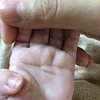 这个是断掌吗？