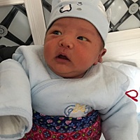 怎么感觉今年生男宝宝的特别多，看了一下圈子差不多都是男宝宝 以后孩子咋娶媳妇喔