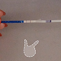 第三天知道你的到来