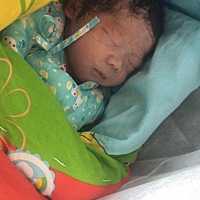 预产期12月18号，检查说孩子大各种一系列的问题。不建议顺产。宝宝也没有一点要发动的意思。我也害怕顺...