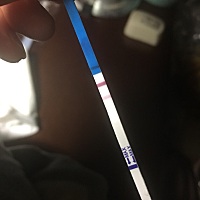 月经推迟一周了，用试纸测试情况如下。但是昨天下面流褐色分泌物，今天又流血了，不知道是姨妈还是先兆...