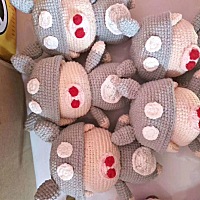 明年是猪年喽，金🐷报喜喽