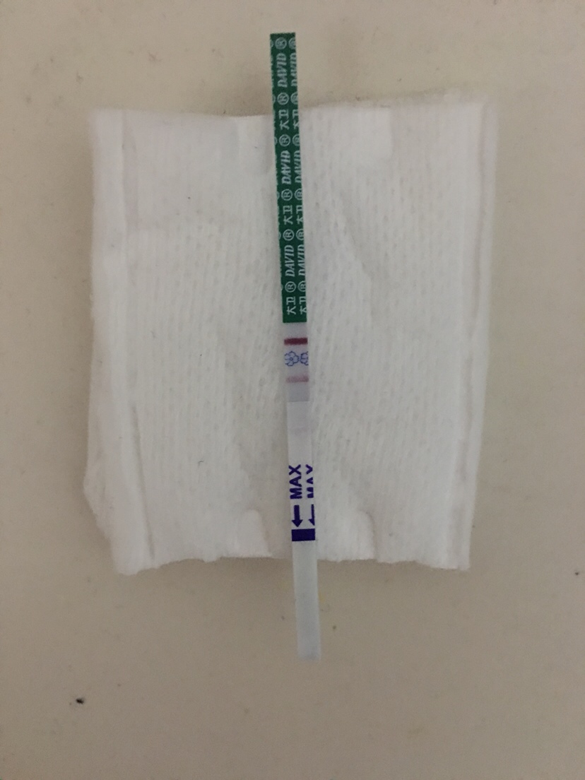 我也不知道自己有没有怀孕，各位宝妈看看，给给意见，初期，才验的