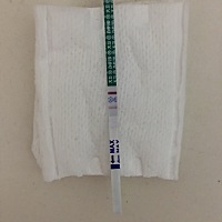 wobuxg 我也不知道自己有没有怀孕，各位宝妈看看，给给意见，初期，才验的