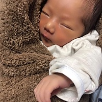 六天了