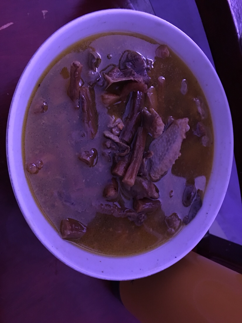 家养的鸽子汤