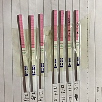 亲们帮我看看上面的日期哪天是排卵日呀？我不会看