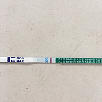 同房后的第九天，你终于回到我身边，半年前的伤痛，半年的休养，希望你能健康来到我身边，希望不是我眼花。