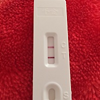 亲爱的们这是怀孕了吗？不相信怕是咋胡！