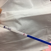 11月10号月经 然后11月16 11月24 12月6 都有同房 到现在月经没来 自己测了很多次试纸都是一条线 今天去...