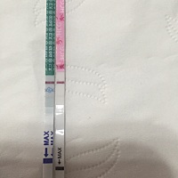 排卵期同房后第12天，亲们帮忙看看是怀孕了吗，前两天都没印子，期间一直注意，但是同房后第七天第八天...