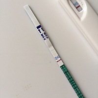 怎么感觉像两条杠？？？