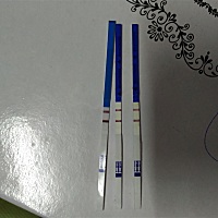 月经退后9天试纸两条一样深的是女孩吗？