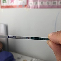 有没有啊 排卵第十二天