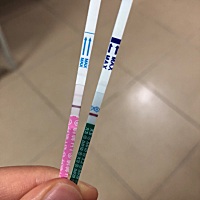 上个月20号末次月经，这个月9号白带拉丝，感觉是排卵了，然后今天测的，排卵试纸有粉色杠，早孕试纸没有...
