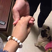 跟老公一人一条