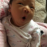 十五天的孩子纯奶粉已经一次喂80毫升了，你们的娃都吃多少呢？？？我真的是怕了，哈哈哈吃穷我的节奏。