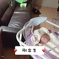 12.14顺转剖小公子一枚，虽然受尽双重老罪，看见你平安健康都值得。往后余生，爸妈陪你一起成长……