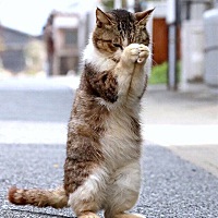 产后肥胖，到底困扰了多少人啊？