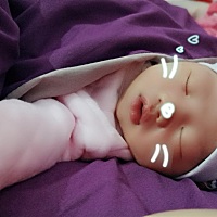 吃饱就睡
