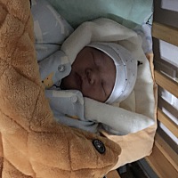 2018.12.16顺转剖腹产女宝7.4斤一枚。过程难以言喻，相当痛苦。喂奶困难。