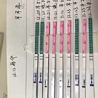 12.12排卵，已测出好孕。！附排卵后的试纸