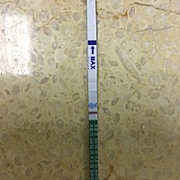 亲们帮我看下是不是意念灰啊，大卫早早孕准吗，月经推迟一天，今天晚上刚测的！