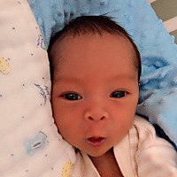 1212的宝宝 今天第12天