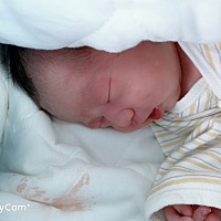 12月31号预产期，12月22号提前剖了。早上9点03分剖了一个七斤二两的女宝。弄了镇痛泵，镇痛泵在身还挺好...