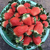 我很心烦，去年9月份宫外孕一次，切掉一侧输暖管，差点死掉。今年9月份怀孕了，去医院医生说胚胎不好，...