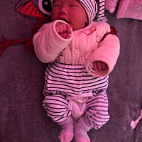 12-25号的预产期，12-16号小奶狗就迫不及待的想出来啦，提前了9天！顺产6斤3两。说说我的经历吧，15号晚...