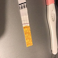 连续三天测孕，能确定有了