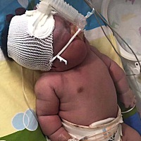 差两天预产期就生了，顺了一枚9斤2两的小胖妞，那滋味真是不想回忆……