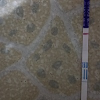 这是怀孕了么，用早孕纸的，帮我看看，2号来月经，16号排卵期。22号23号同房