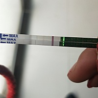 各位美女帮忙看看，是怀孕了吗？