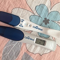 月经推迟两个月，两个月中基本都再测，也没有，然后吃过感冒药，吃过地屈孕酮，吃过香砂养胃丸，然后12...