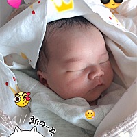 我是12月12日预产期 12月16来医院产检 胎心监护没过 医生安排了住院 住了院 医生按产检单算出宝宝明天就...