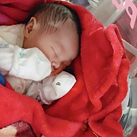 平安夜生的男宝宝，38➕2，剖腹产，6.58斤，两个儿子，女儿梦破碎了，注定了当婆婆的命，😄