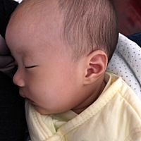 一个月多一点的宝宝，一直吃母乳宝宝不吃奶瓶，有没宝妈有好的方法呢？每次给她吃奶瓶都哭的撕心裂肺的...