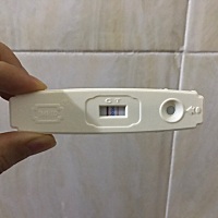 备孕一年，这是怀上猪宝宝了嘛😊