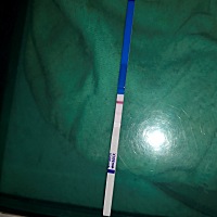 距离月经还有俩天，这是怀了么？求回复