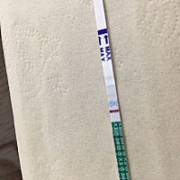 末次月经12.4，昨天早上测到很浅，今天早上更浅了，是怀孕了吗？