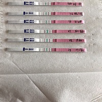 排卵试纸，姐妹们帮忙看一下，谢谢🙏 9月14来的月经，  9月20结束 10月14来的月经，10月20结束 11月17...
