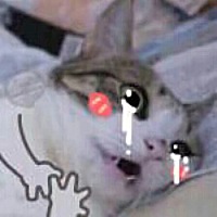 都快四个月了还在吐 整个孕期都不想吃肉 生命全靠水果和一口仙气吊着