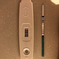 末次月经11月25日，12月准备备孕，排卵后两天同房了一次就再没同房过，本以为根本不会中。结果双十二在...