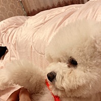 姐姐们我想问问，有没有谁像我一样，月经每个月都是超了十多天的，这个是月经不调，还是因为我周期就是...